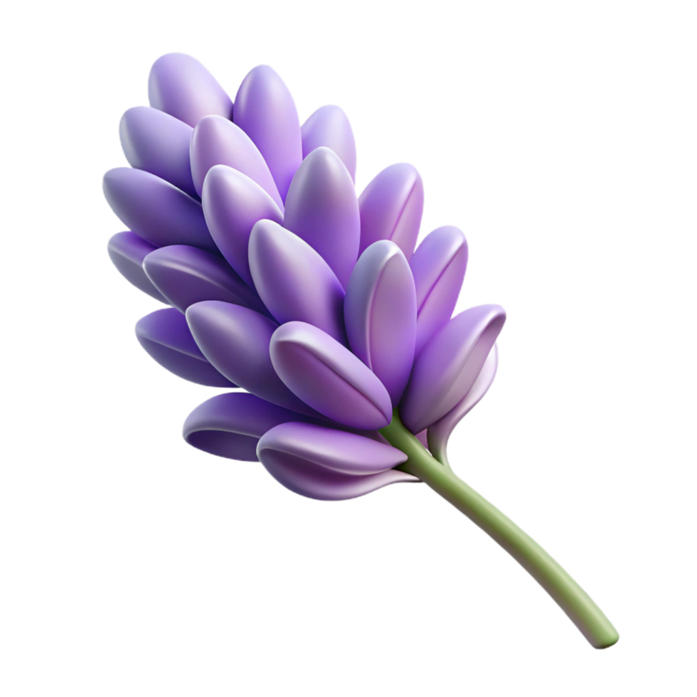 splendid notable Hyper-specific, photorealistic, isolated cutout of a single, dried lavender flower with Transparent Background png