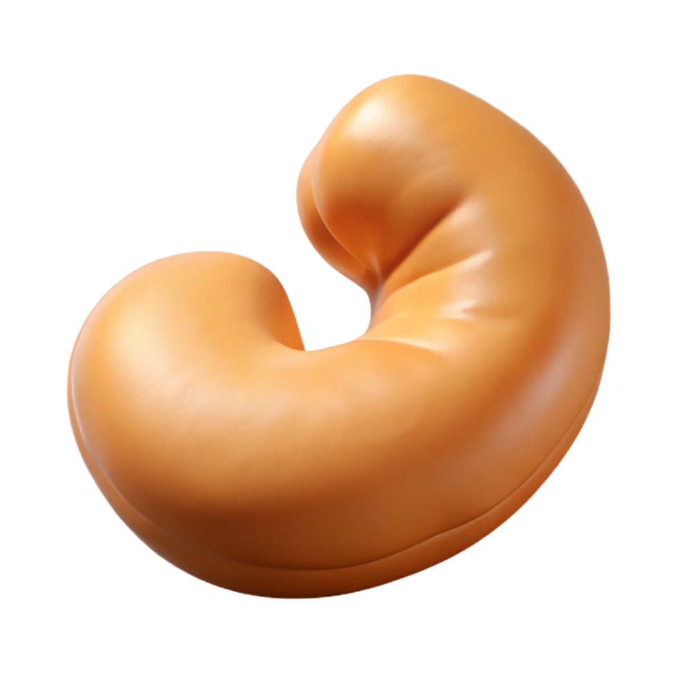 remarkable artistic Raw cashew nut with Transparent Background fine detail png