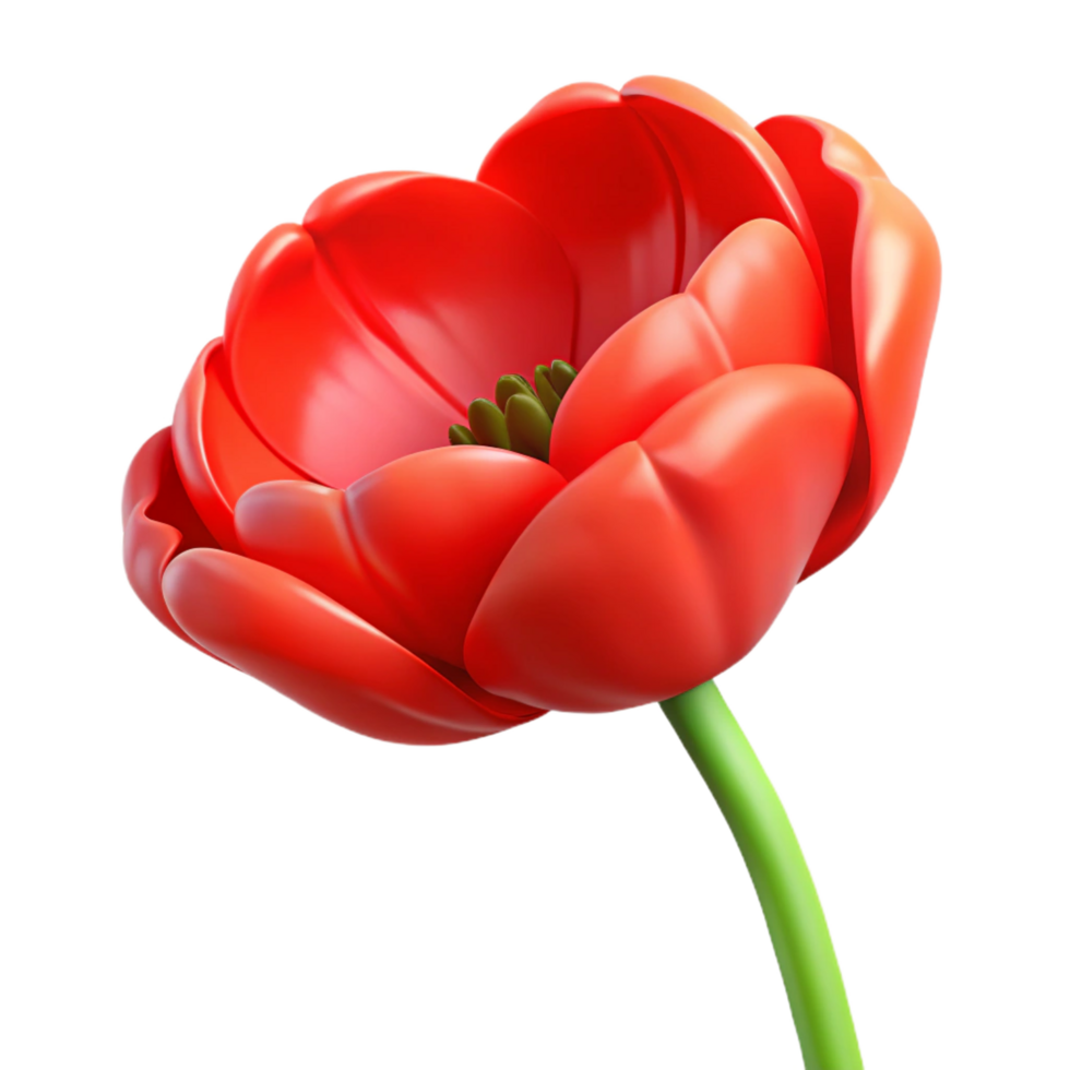 immaculate remarkable Photorealistic, hyper-specific, isolated cutout of a single, blooming poppy flower bud, red with Transparent Background png
