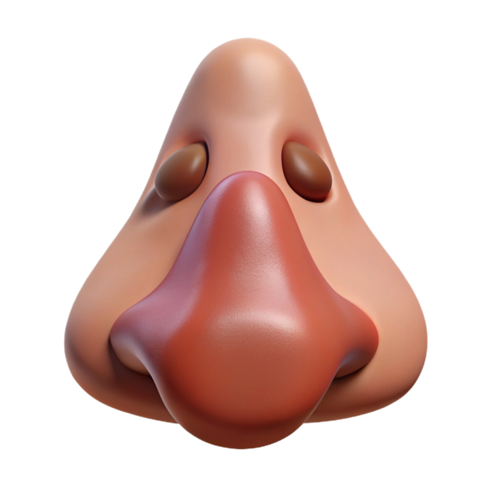 memorable tropical Photorealistic isolated cutout of a human nose with realistic details and pores with Transparent Background gallery standard png