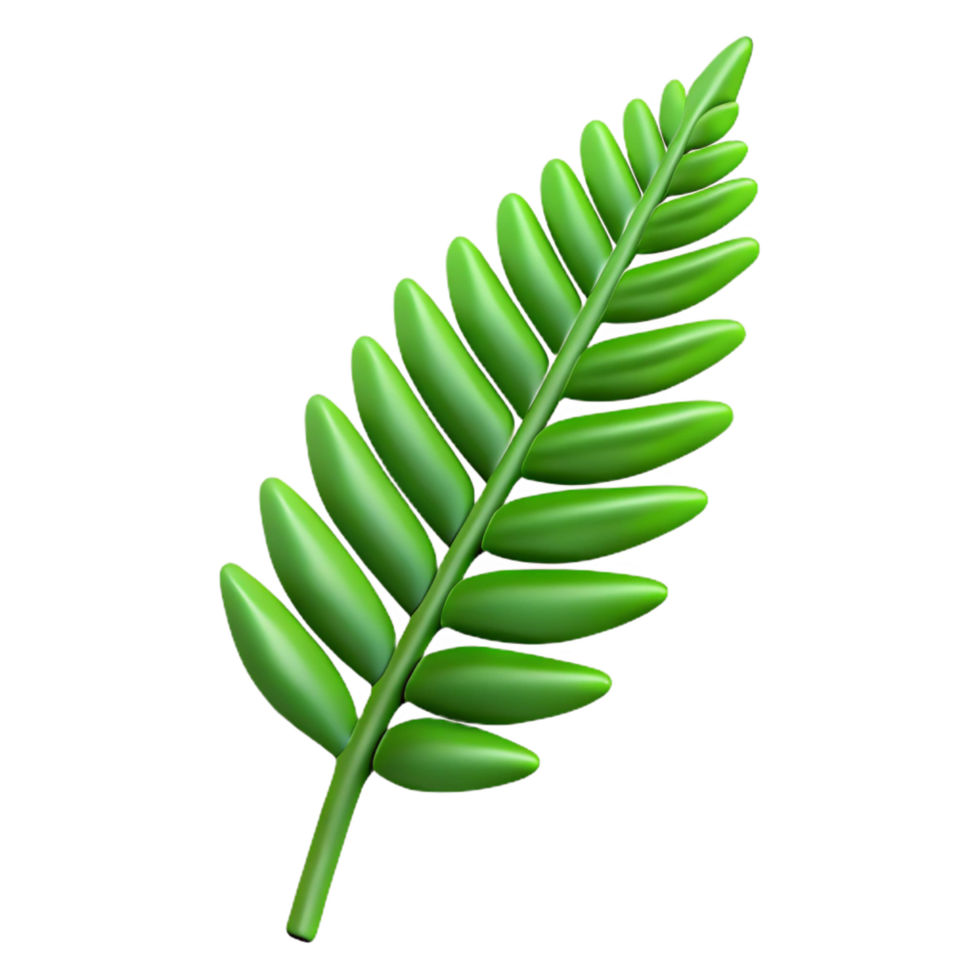 spectacular creative Isolated cutout, professional render of a single fern frond with Transparent Background 4K png