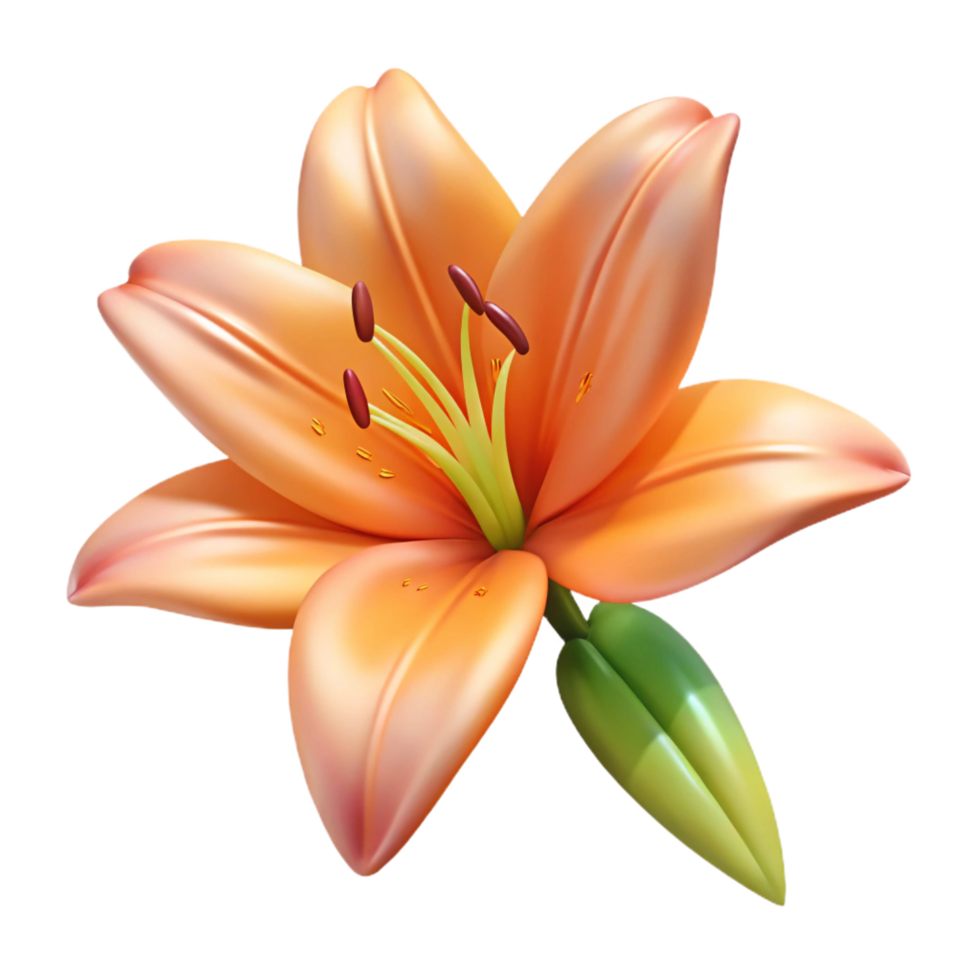 fascinating bold minimalist Tiger lily flower bloom with Transparent Background expertly shot png