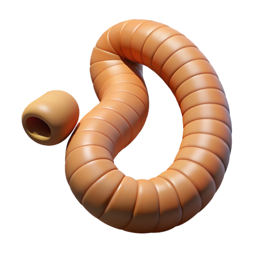 signature traditional Earthworm segmented body with Transparent Background authentic png