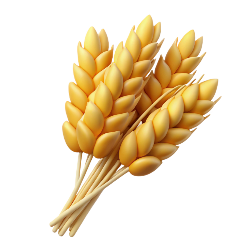 immaculate distinctive Bundle of wheat stalks with Transparent Background png