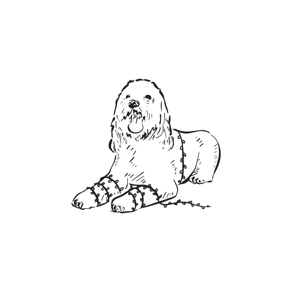 A labradoodle dog with fairy lights wrapped around its body and arms. Christmas or birthday dog. Drawn by hand in a sketchy style. vector