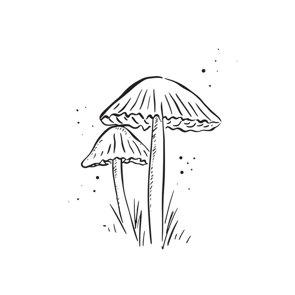 A pair of mushrooms illustrated in black with dots indicating morning dew around. Cute hand drawn illustration in black. Fungi, natural. vector