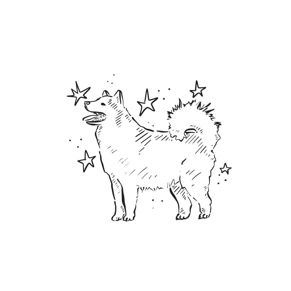 A line drawn Samoyed dog posing side profile with stars surrounding it. Drawn by hand in a sketchy style in black and white. vector