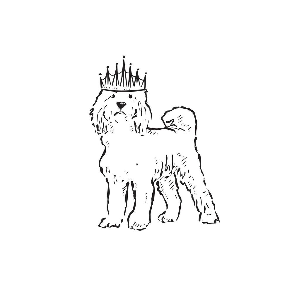 A line drawn labradoodle wearing a crown. Hand drawn in black and white and vectorised. vector