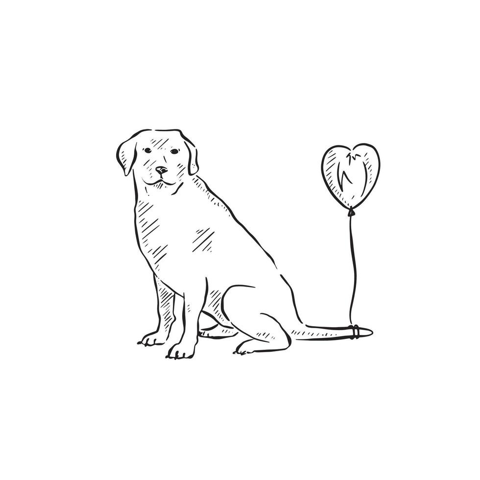 A golden retriever with a heart balloon attached to his tail. Drawn by hand in black and white and vectorised. Line drawing. vector