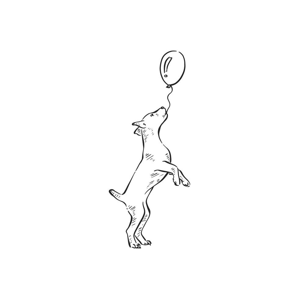 A little puppy in black and white holding a balloon in its mouth. A hand drawn line illustration in black and white. vector