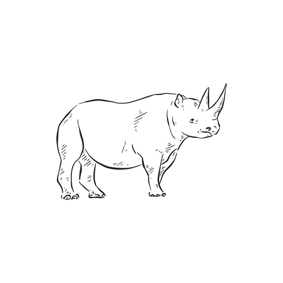 A line drawn side profile of rhino. Safari, wild animal, African Savanna. vector