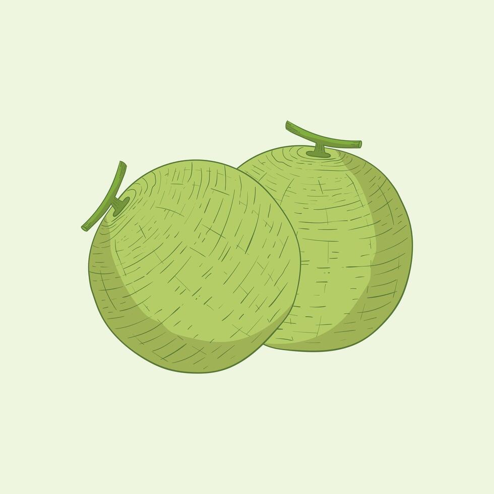 Cantaloupe Fruit Flat Design Cartoon illustration vector