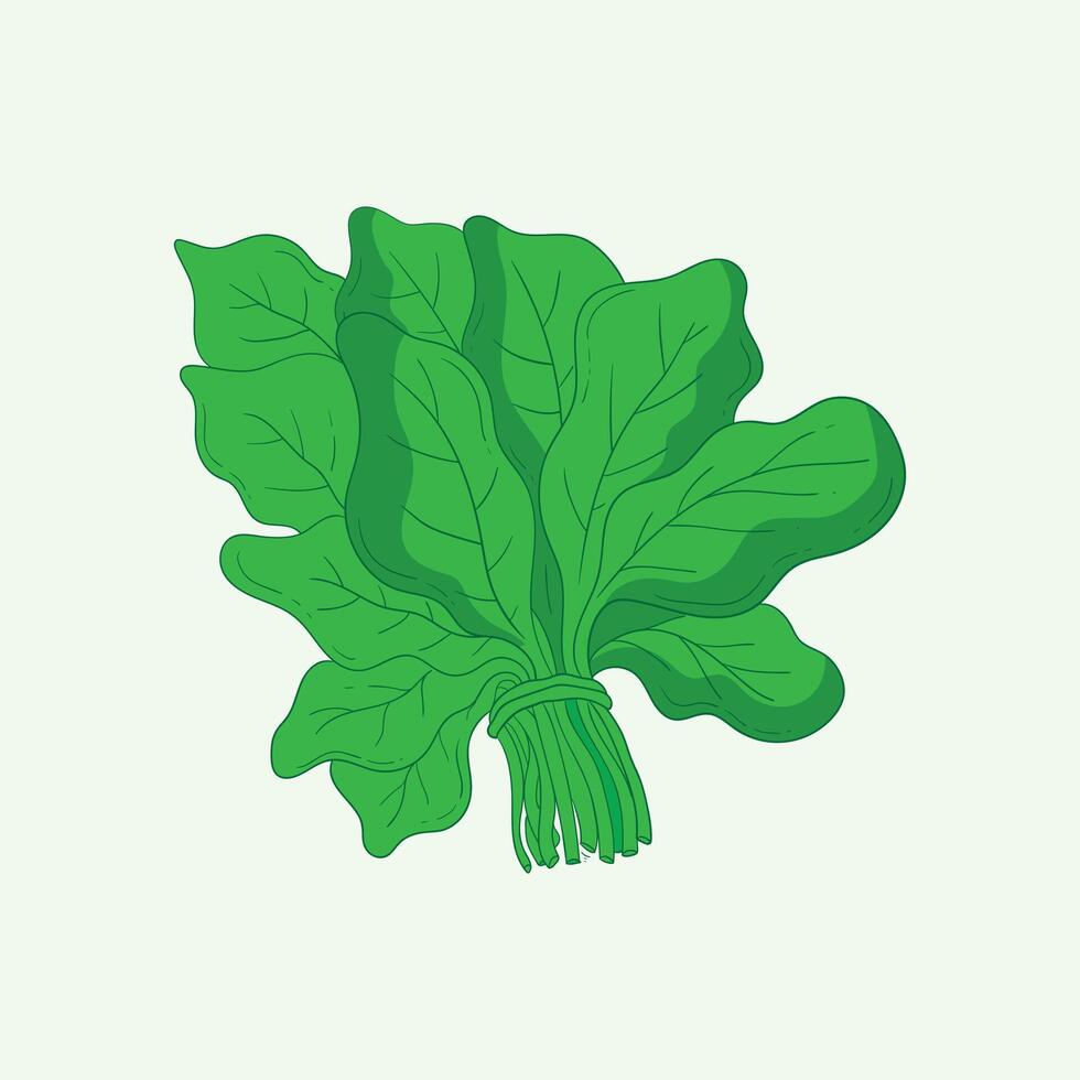 Spinach Plants Flat Design Cartoon Illustration vector