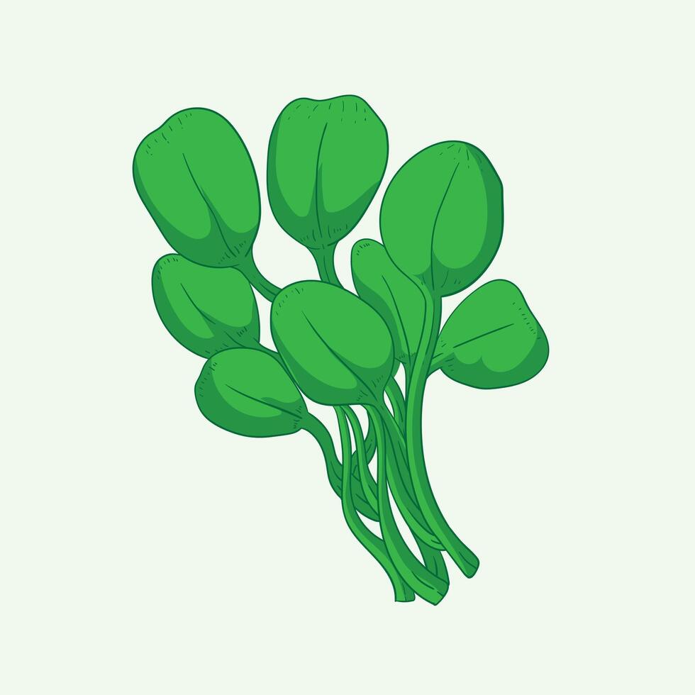 Swamp nails Plant Flat Design Cartoon Illustration vector