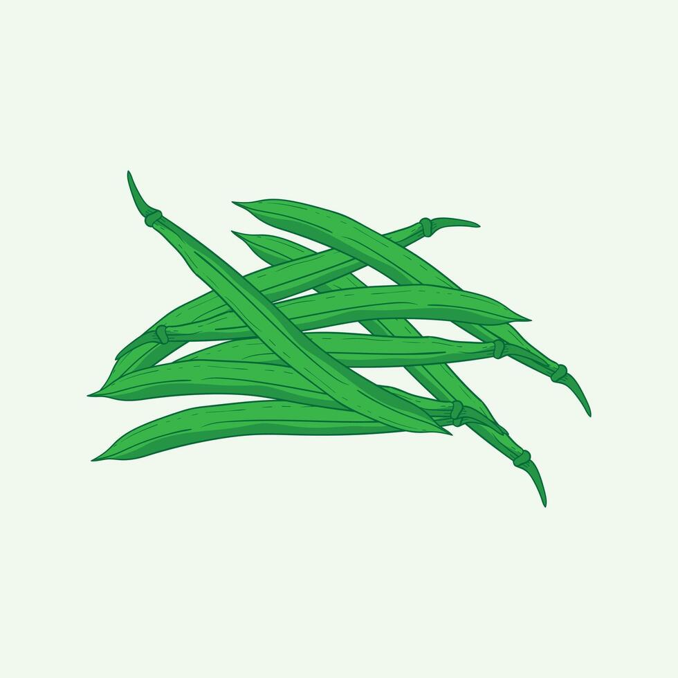 Bean Plants Flat Design Cartoon Illustration vector