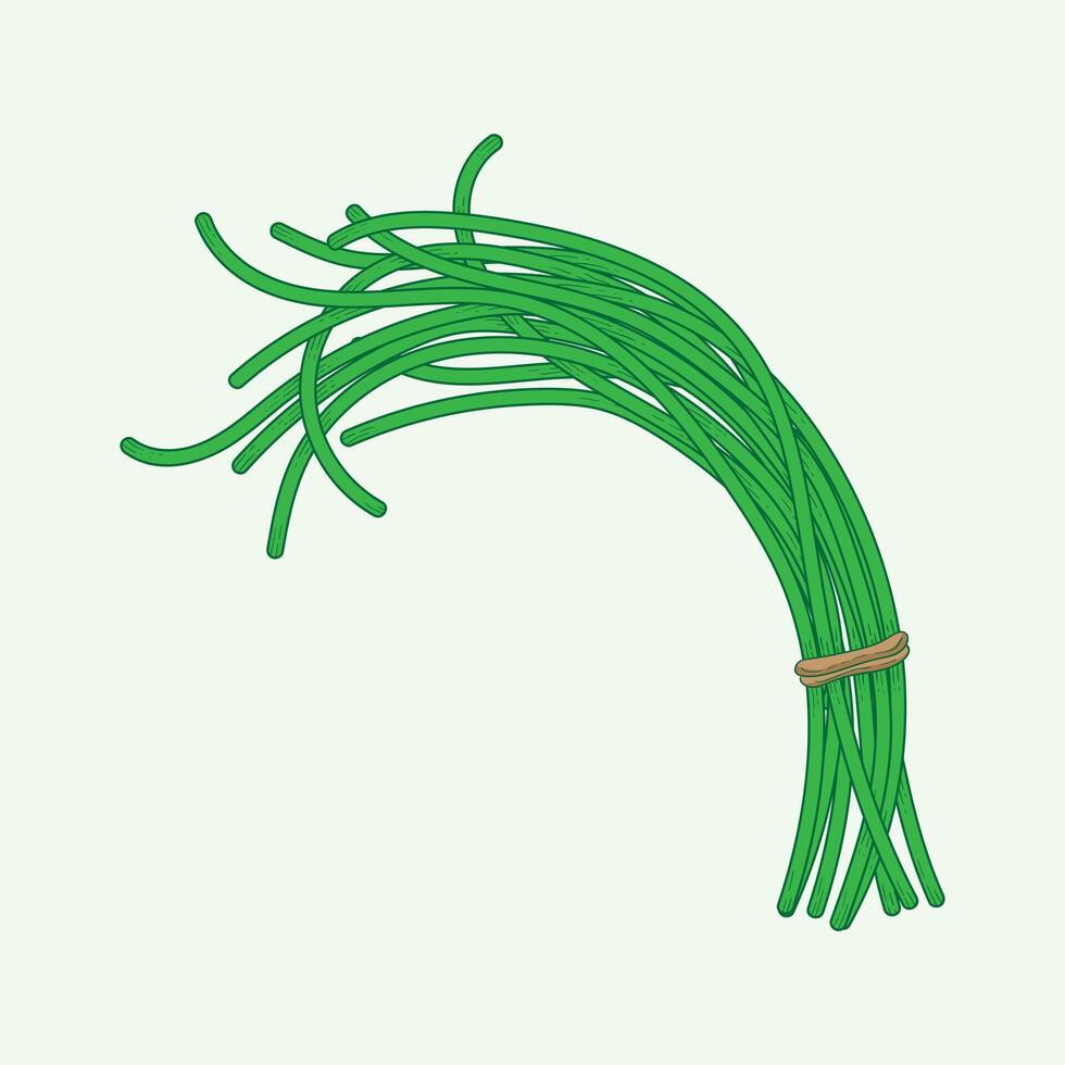 Long Beans Vegetables Flat Design Cartoon Illustration vector