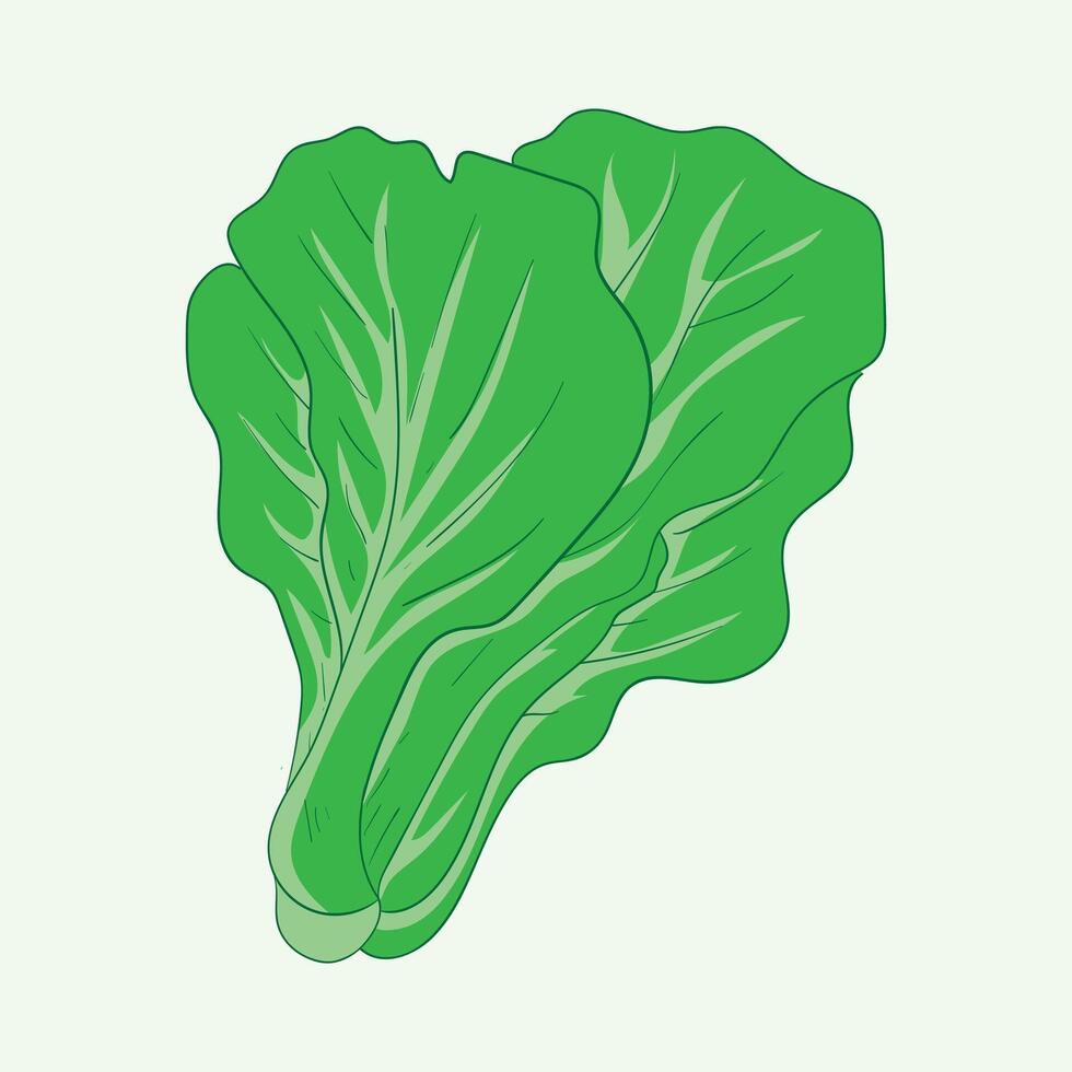 Mustard Plants Flat Design Cartoon Illustration vector