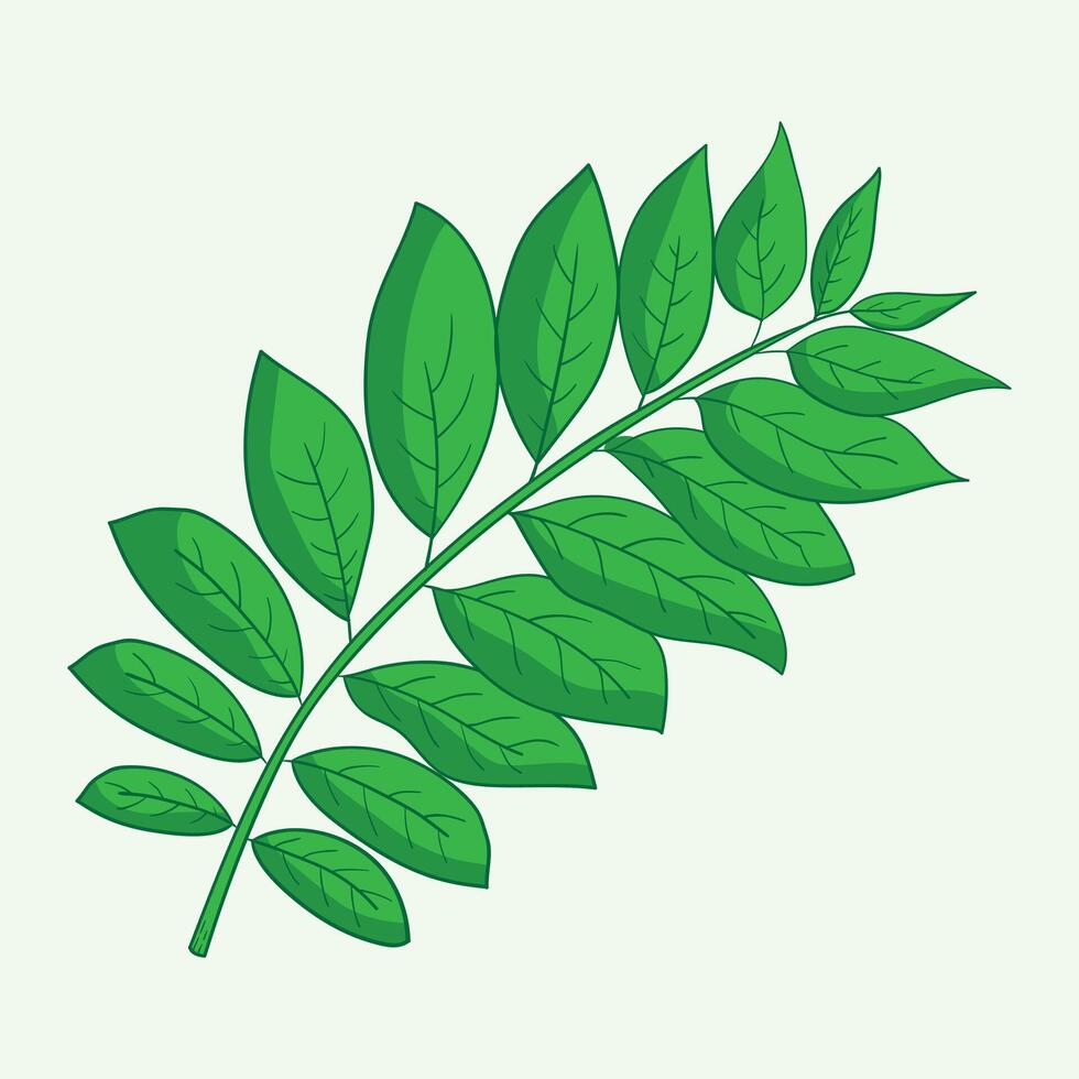 Katuk Plants Flat Design Cartoon Illustration vector