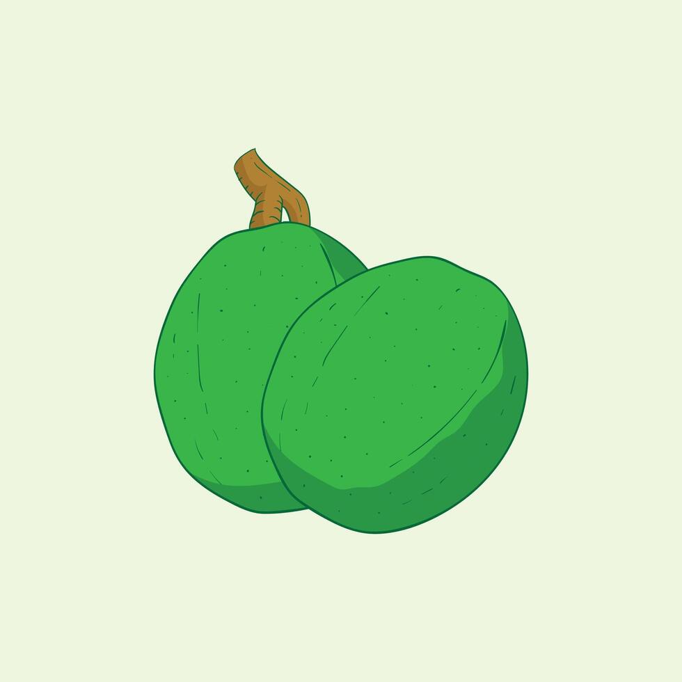 Ambarella Fruit Flat Design Cartoon illustration vector