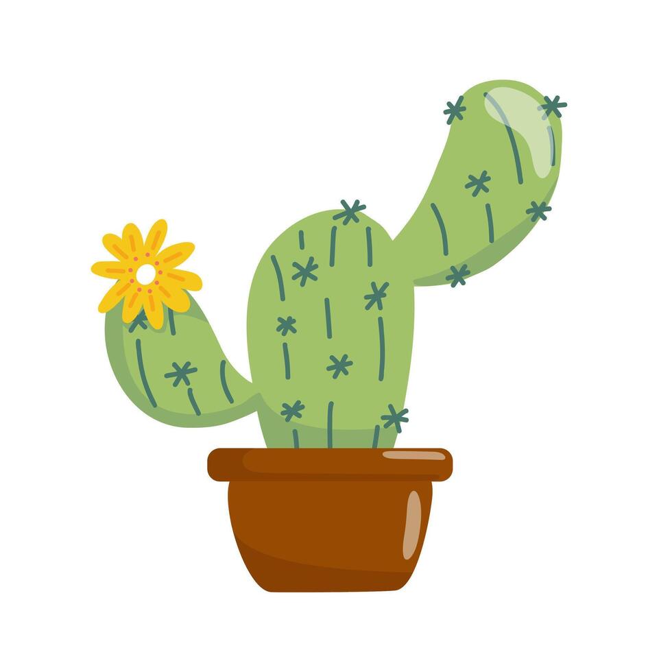 cacti with flowers vector