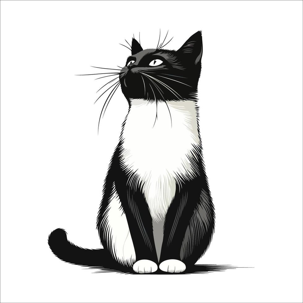 Black and White Cat Illustration vector