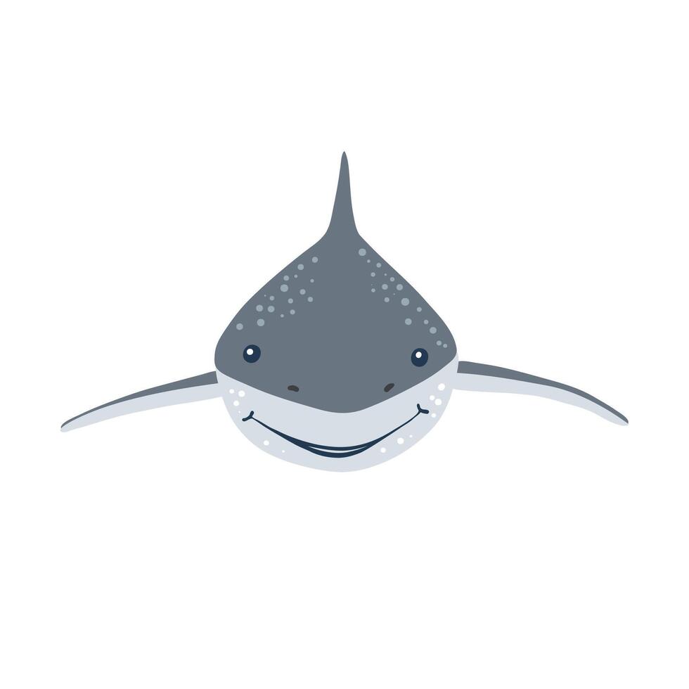 Shark fish isolated on white background vector