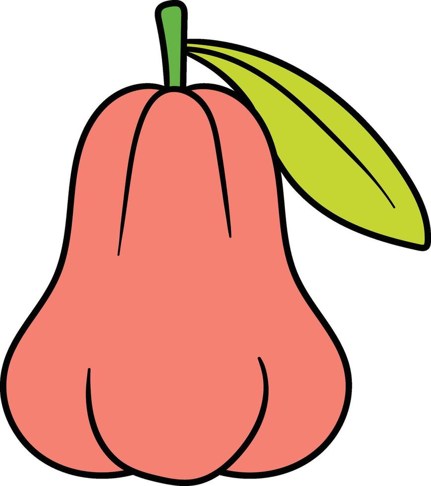 Illustration of water apple with a green leaf vector