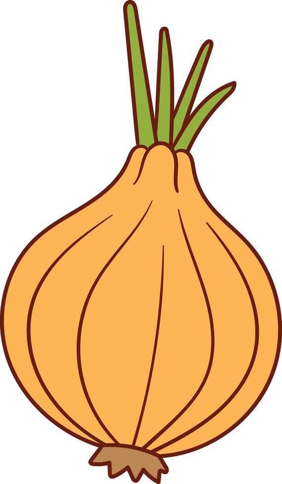 Illustration of onion with green sprouts vector