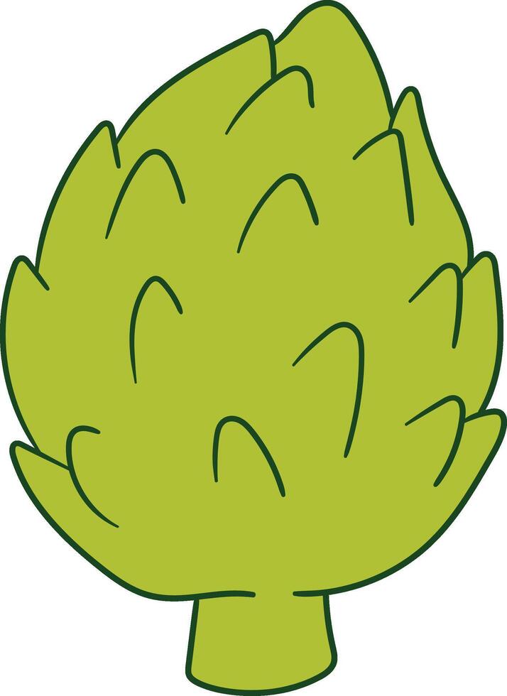 Illustration of green artichoke with pointed leaves vector