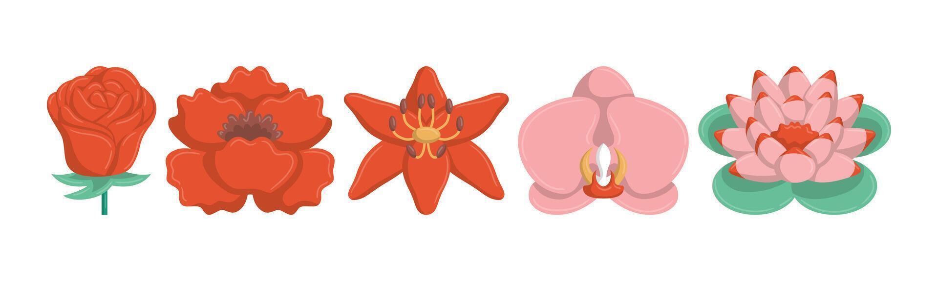 A collection of stylized flowers including a rose, poppy, star-shaped flower, orchid, and water lily, presented on a white background. vector