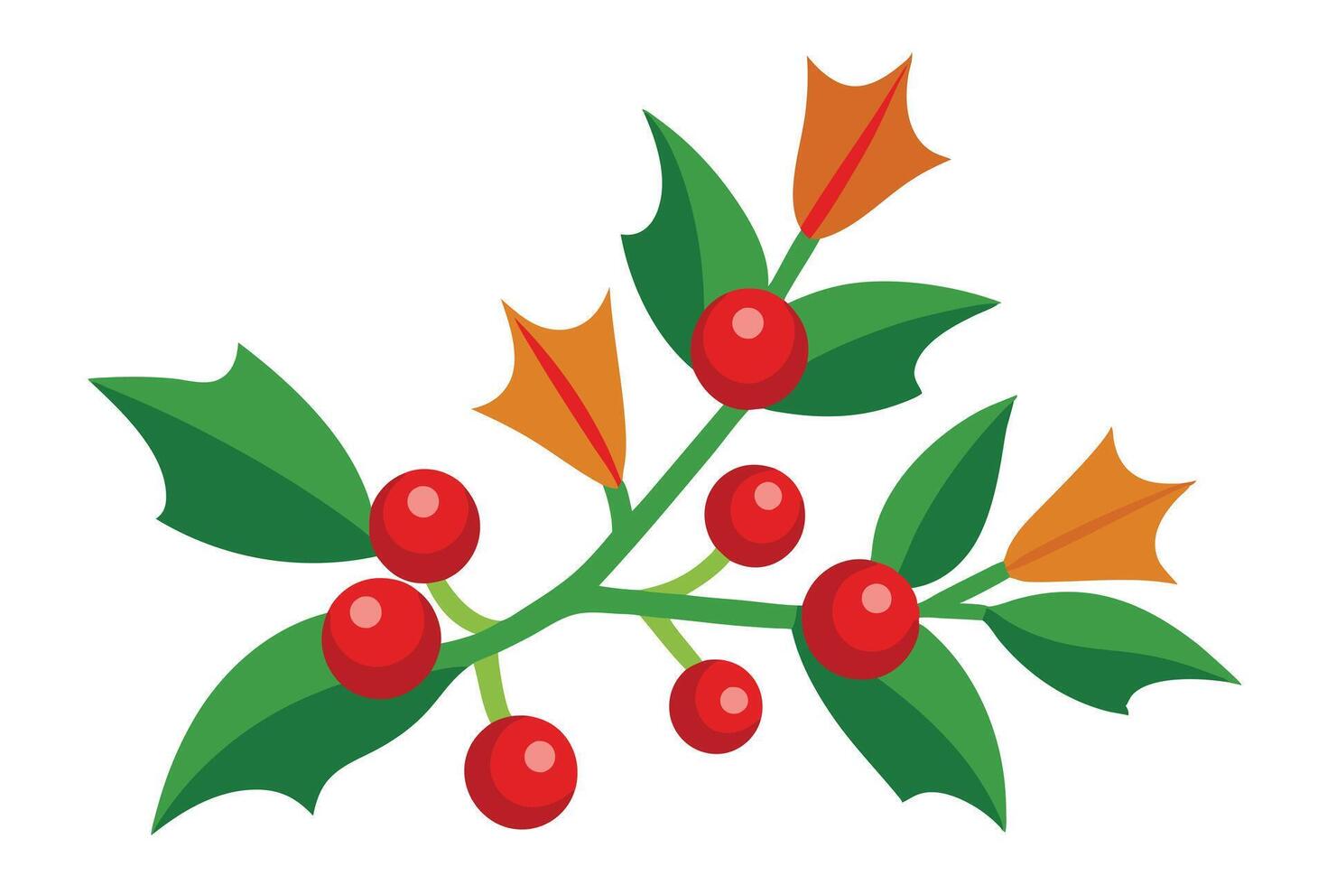 Holly Berry Sprig with Green Leaves and Orange Petals vector