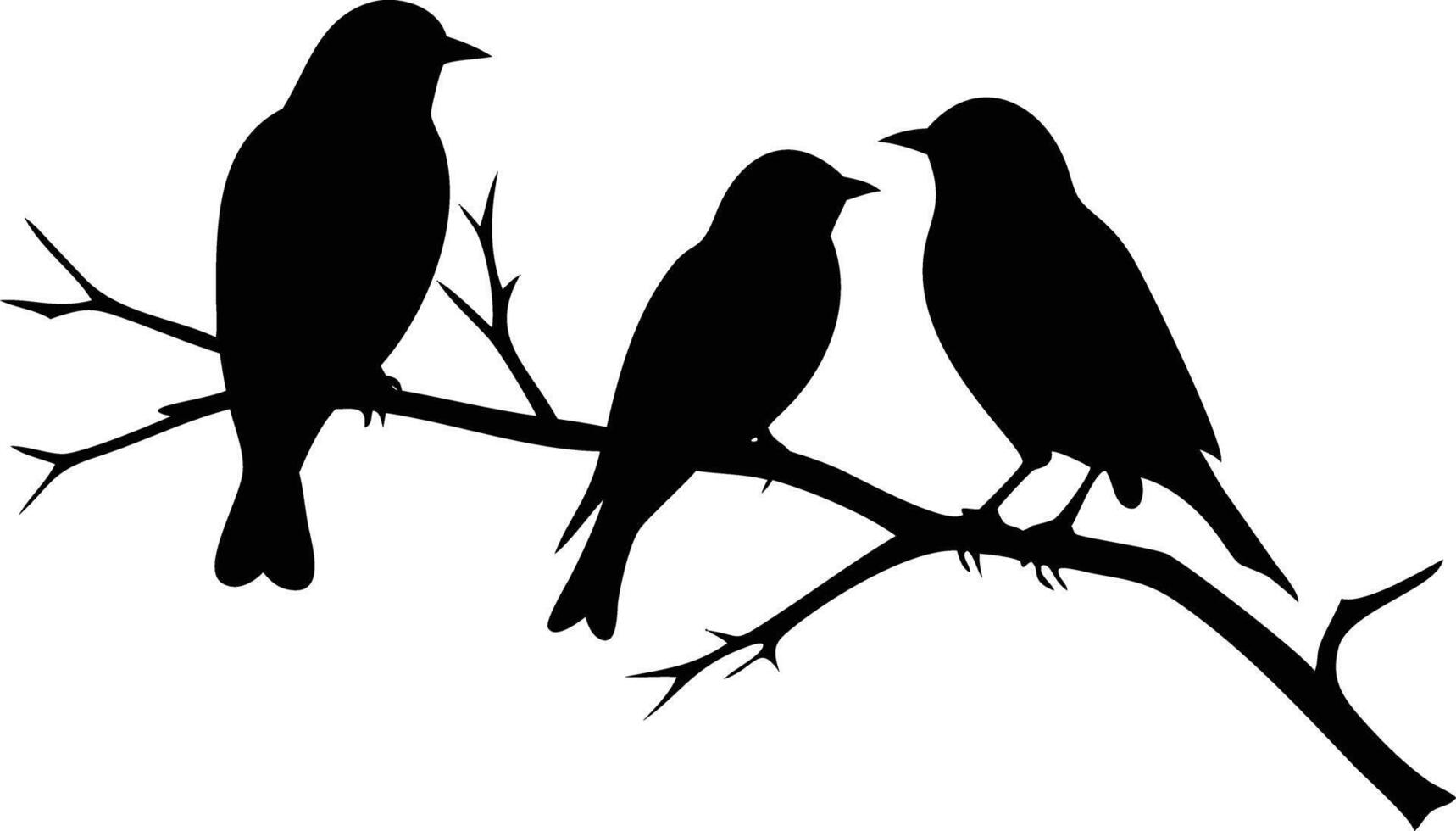 Bird Silhouettes Three Birds Perched on Tree Branch, Nature vector