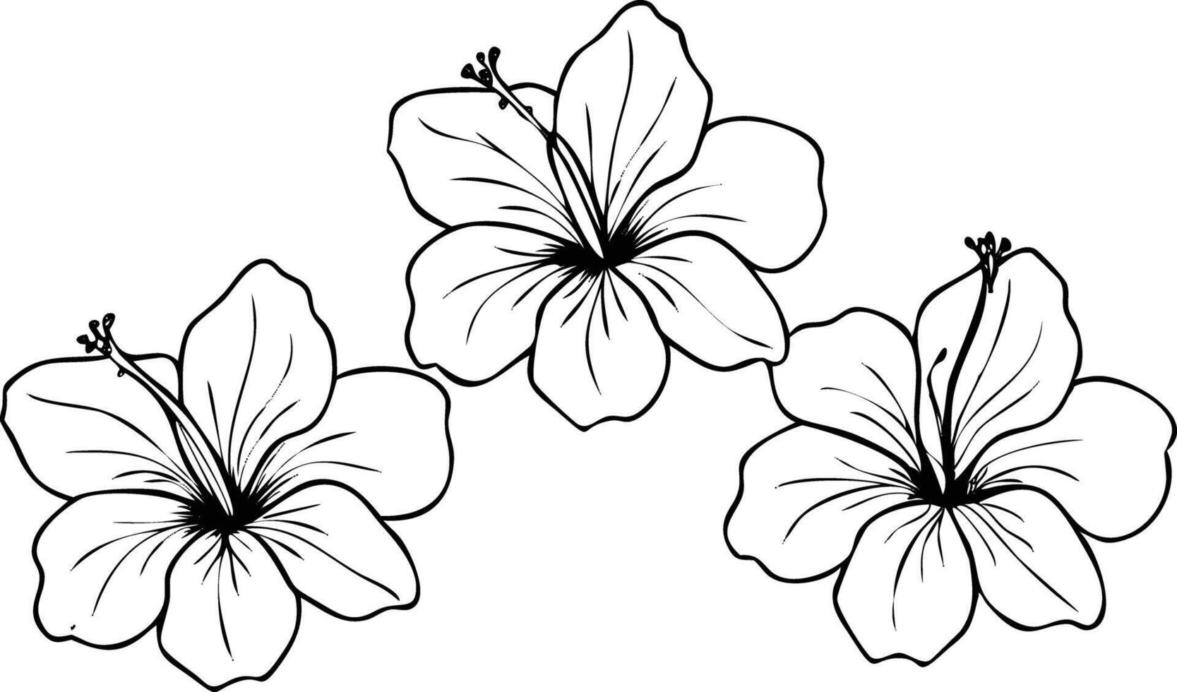 Three Black Outline Hibiscus Flowers with Visible Stamens vector
