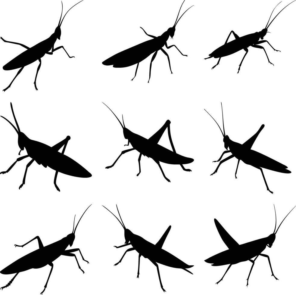 Set of Nine Black Grasshopper Silhouette Isolated on White Background. Simple Bugs vector