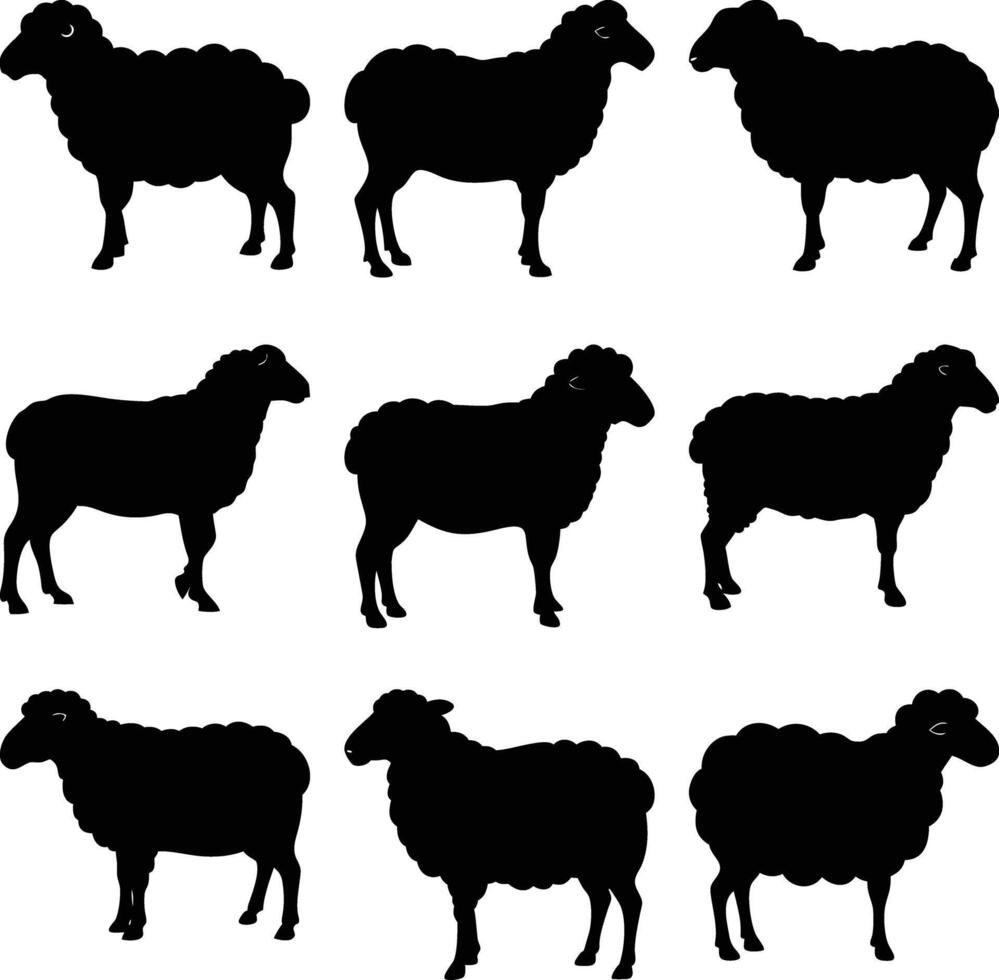 Sheep Silhouettes Isolated , Farm Animals, Livestock, Lambs, Meadow vector