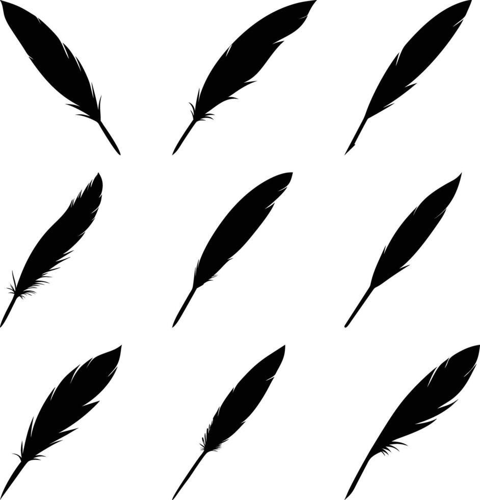 Nine Feather Silhouettes Isolated . Plume with Detailed Vanes Set vector