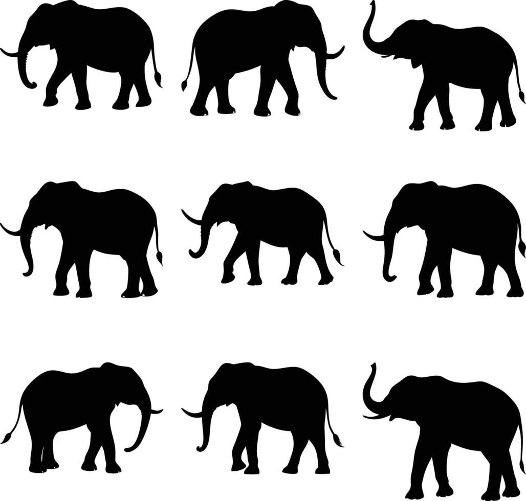 Elephant Silhouette Compilation, Wild Animal Design Isolated vector