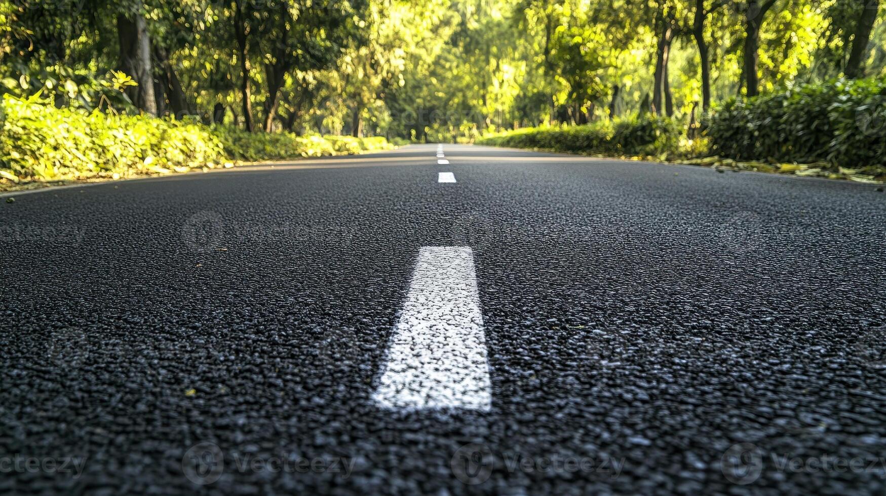 A close-up view of a road surrounded by trees, emphasizing nature and transportation photo