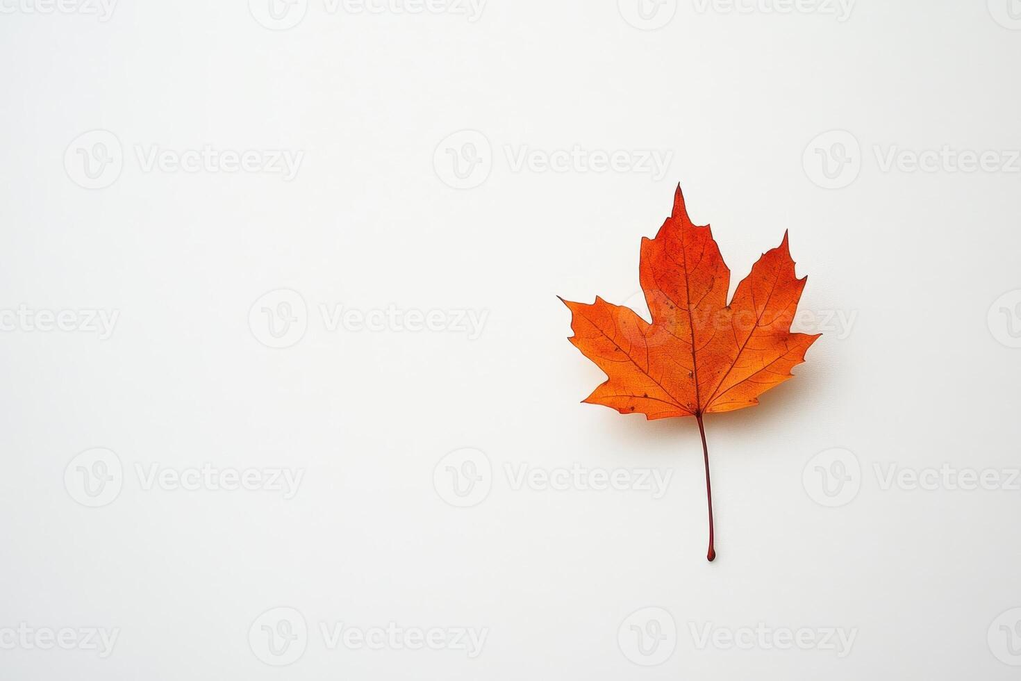A vibrant orange maple leaf on a white background, symbolizing autumn's beauty. photo