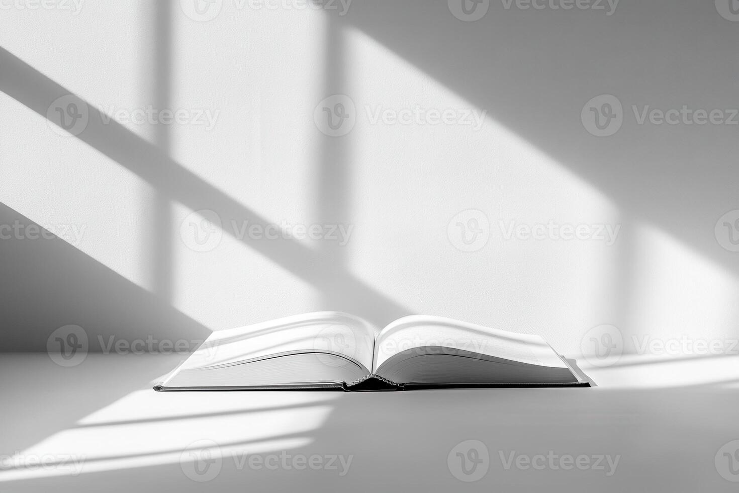 An open book on a table, illuminated by soft shadows. photo