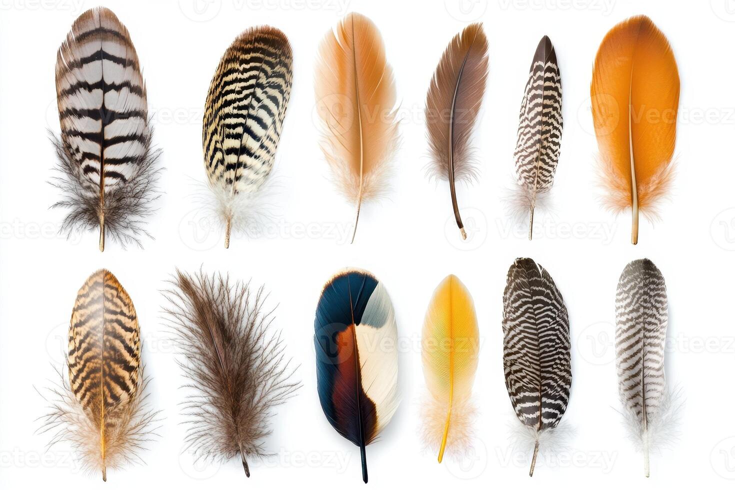 A collection of colorful feathers arranged in a grid pattern photo