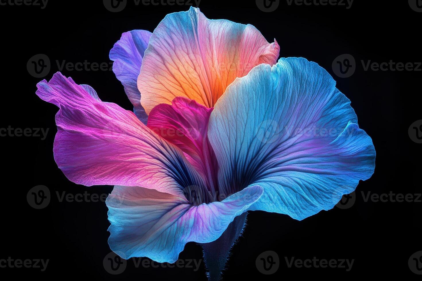 A vibrant, digitally rendered flower with a blend of colors against a dark background. photo