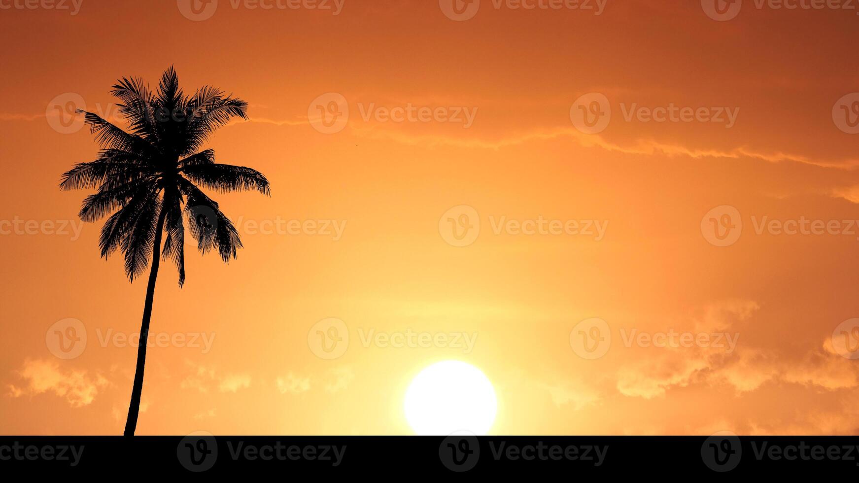 Stunning Tropical Sunset with Silhouetted Palm Tree Against Vibrant Orange Sky and Glowing Sun on Horizon photo