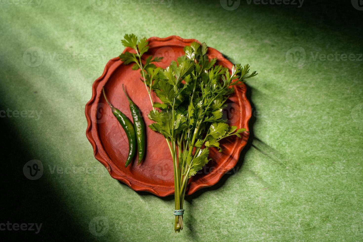Coriander leaves are kept in an earthen pot. It is a winter crop. photo