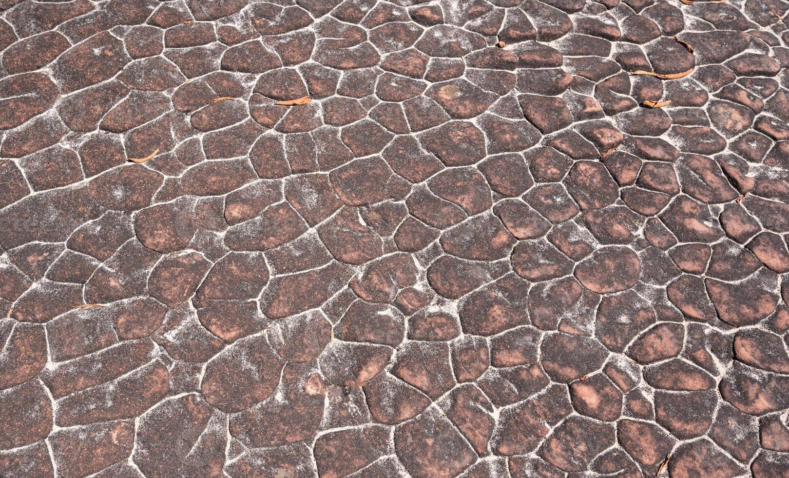 In geology, a crack formed in a rock by exposure to the sun's heat at the time the rock was consolidating. photo