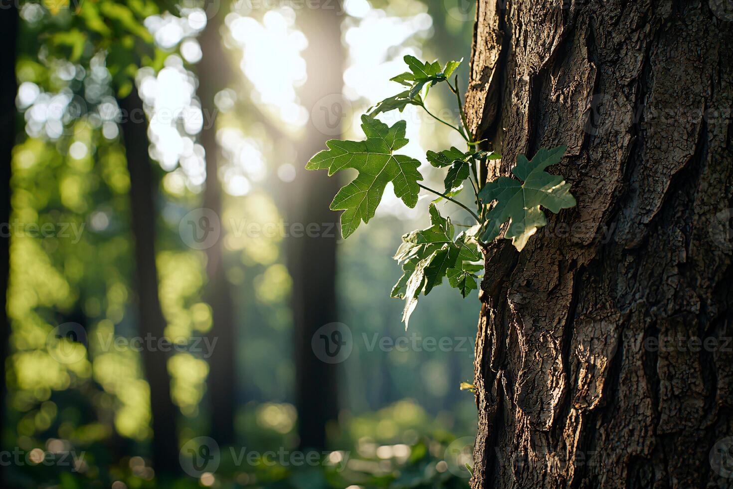 Soft sunlight filters through fresh green leaves, symbolizing new beginnings and the essence of spring growth photo