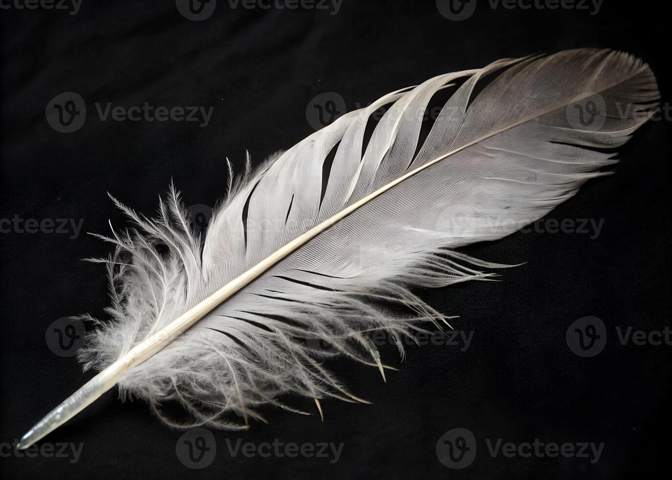 single feather on black background. photo