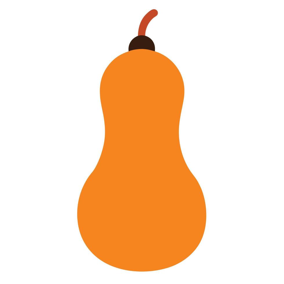 Simplified Butternut Squash Illustration Isolated On White Background For Food Concepts vector