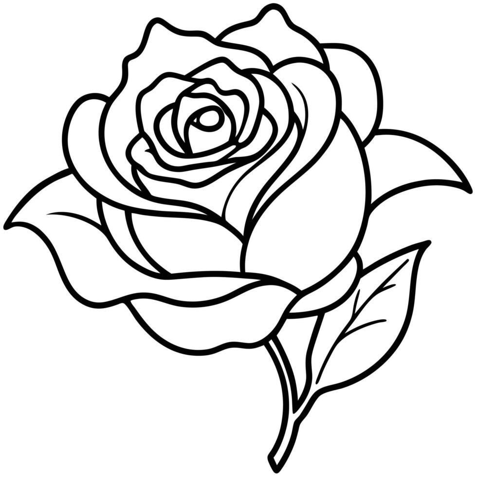 Elegant Black And White Rose Outline Drawing With Leaf Detail Graphic vector