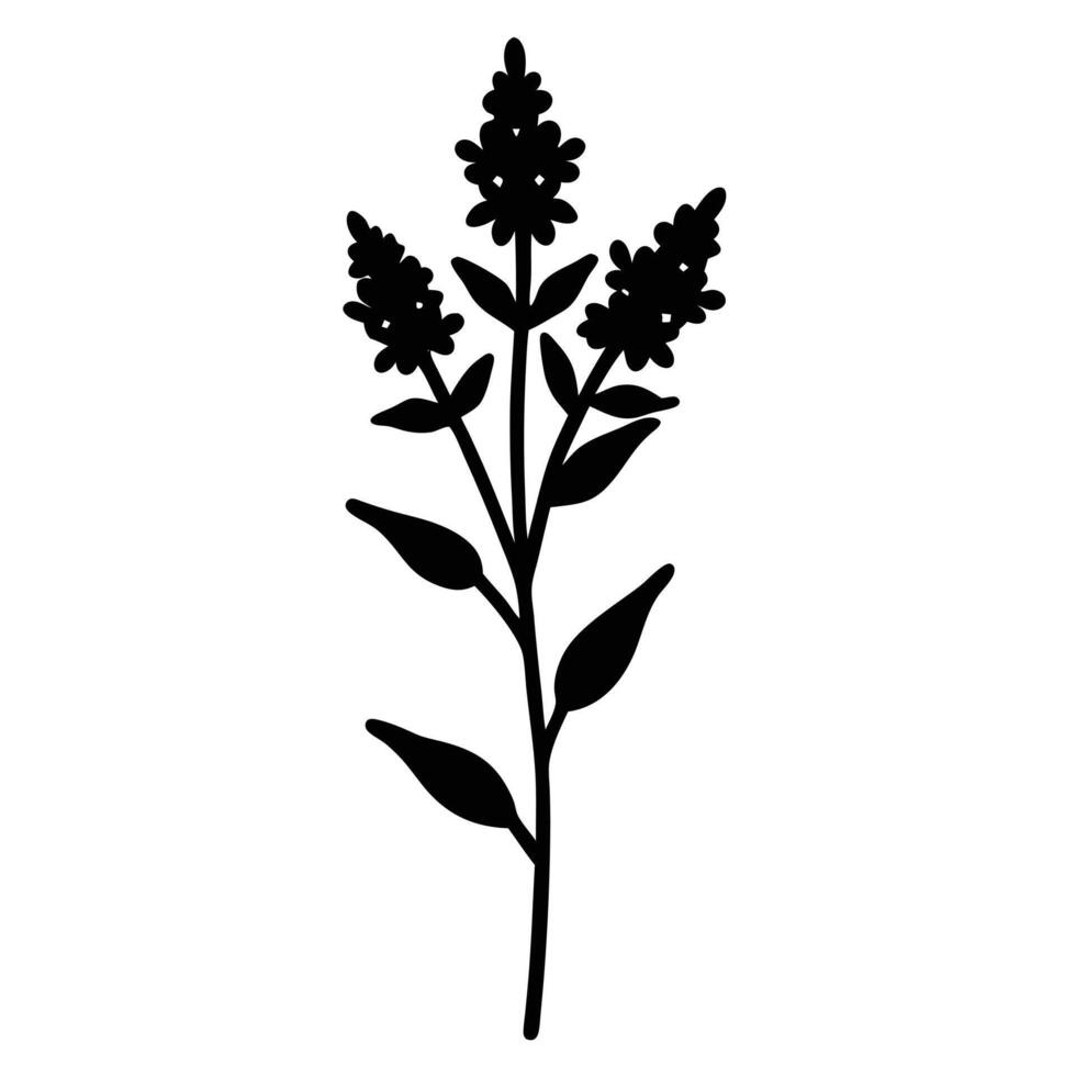 Elegant Floral Silhouette Of Blooming Lavender Stalk Illustration Design vector